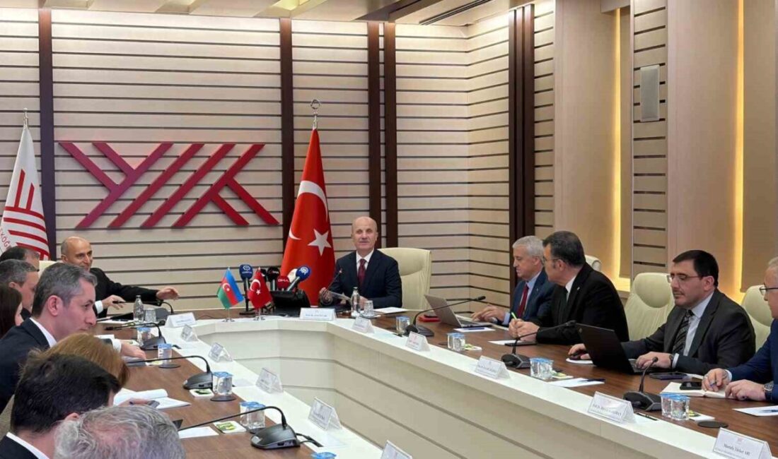 Yükseköğretim Kurulu (YÖK) Başkanı Erol Özvar, “2023 yılında kurulan Karabağ