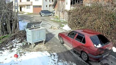 Bolu’da bir sürücü, yolda uyuyan köpeğin üzerinden aracıyla geçerek yoluna