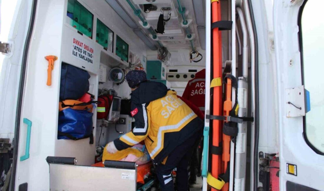 Bitlis’te yoğun kar nedeniyle yolu kapanan Akçalı köyü Tabanözü Mezrası’nda