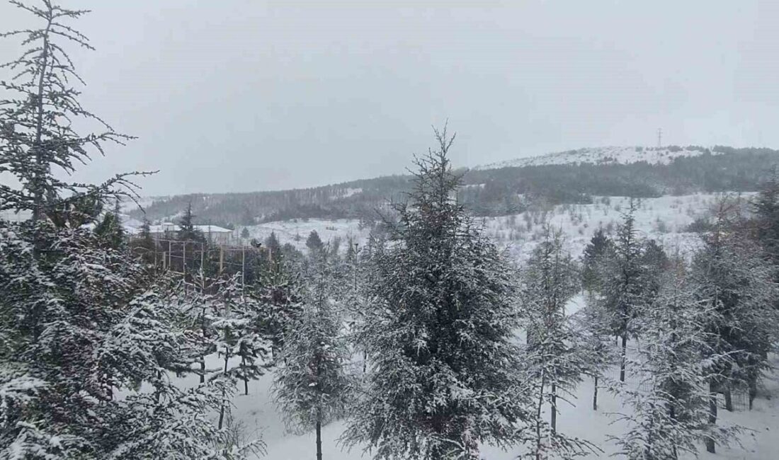 Yozgat’ta dün gece saatlerinde bu yana aralıklarla etkili olan kar