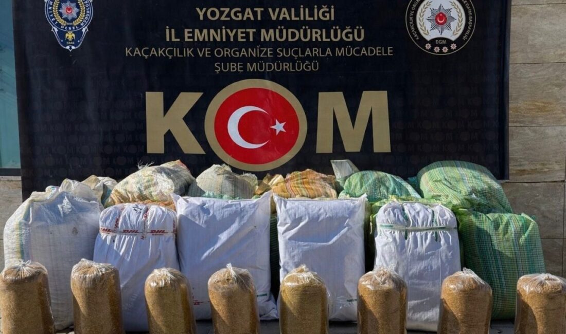 Yozgat’ın Saraykent ilçesinde bir araç içerisinde 650 kilo tütün ele