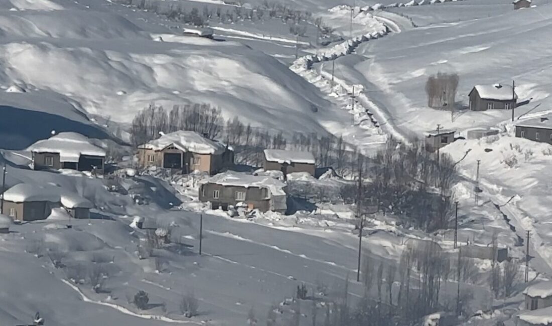 Hakkari’nin Yüksekova Tarım ve Orman Müdürlüğü, ağır kış şartları nedeniyle