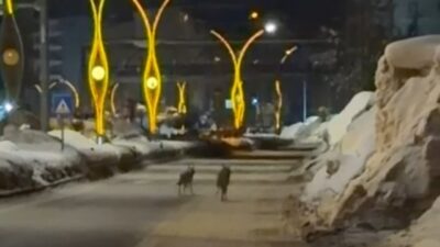 Hakkari’nin Yüksekova ilçesinde etkili olan olumsuz hava şartları nedeniyle aç