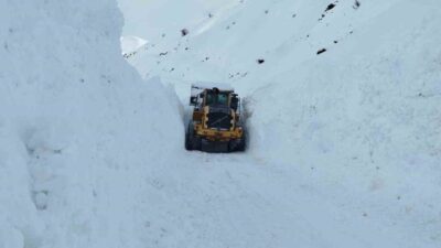 Hakkari’nin Yüksekova ilçesine bağlı Onbaşılar köyü Çamdalı mezrası yoluna düşen