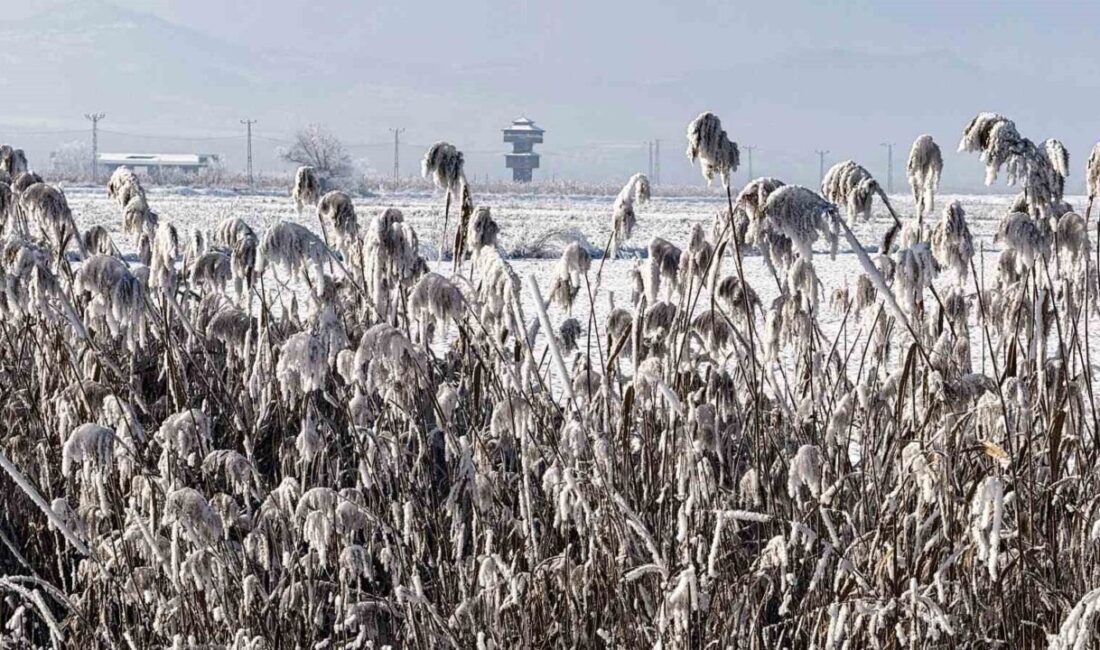 Tokat’ta kar yağışıyla birlikte Kaz Gölü buz tutarak beyaza bürünürken,