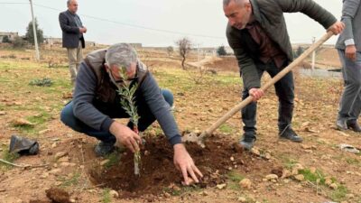 Mardin Büyükşehir Belediyesi tarafından hayata geçirilen Zeytinli Sıfır Atık Köyü