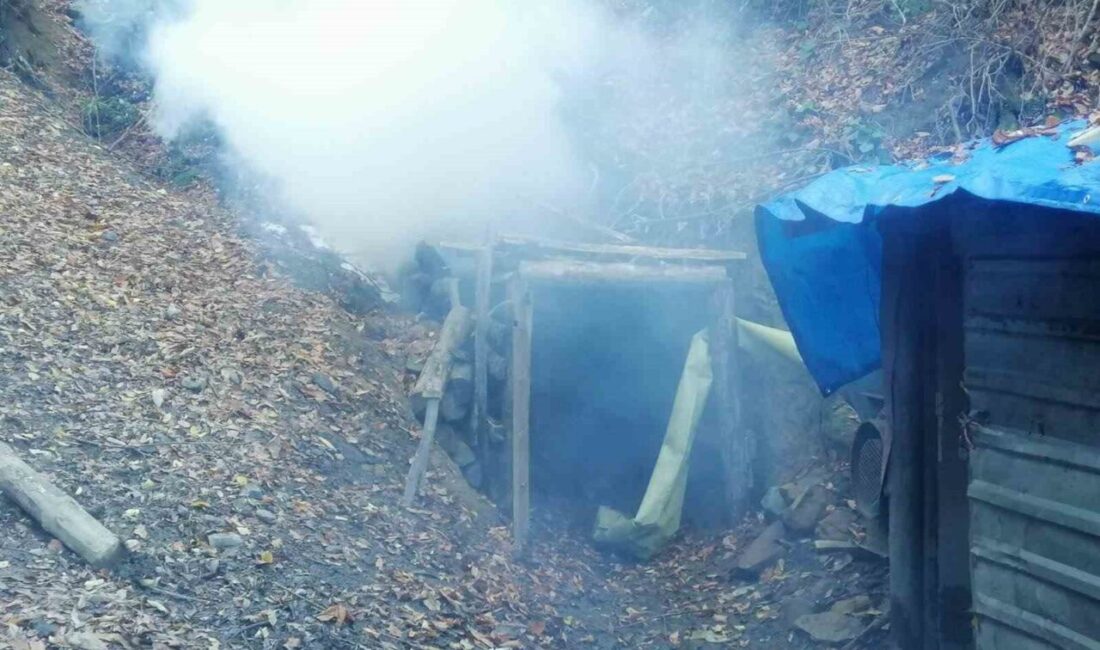 Zonguldak İl Emniyet Müdürlüğü ve İl Jandarma Komutanlığı ekiplerince 5-11