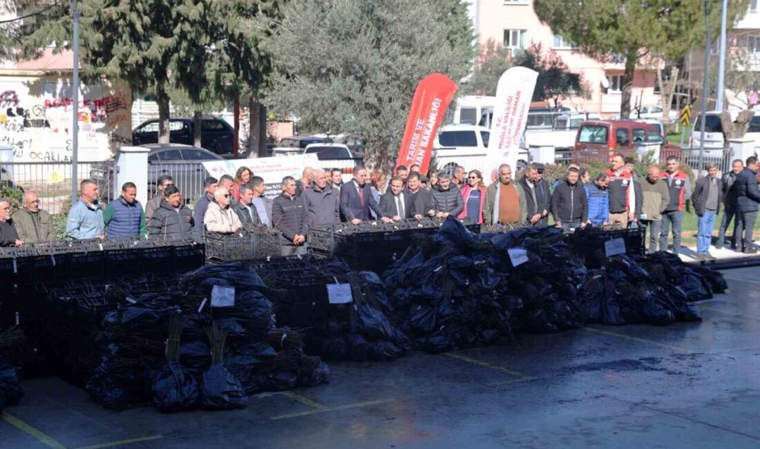 ‘Üzümsü Meyve Üretiminin Yaygınlaştırılması Projesi’ kapsamında finansmanının büyük bölümü Muğla