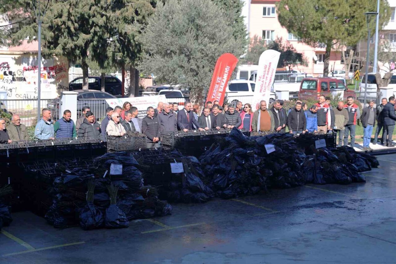 ‘Üzümsü Meyve Üretiminin Yaygınlaştırılması Projesi’ kapsamında finansmanının büyük bölümü Muğla