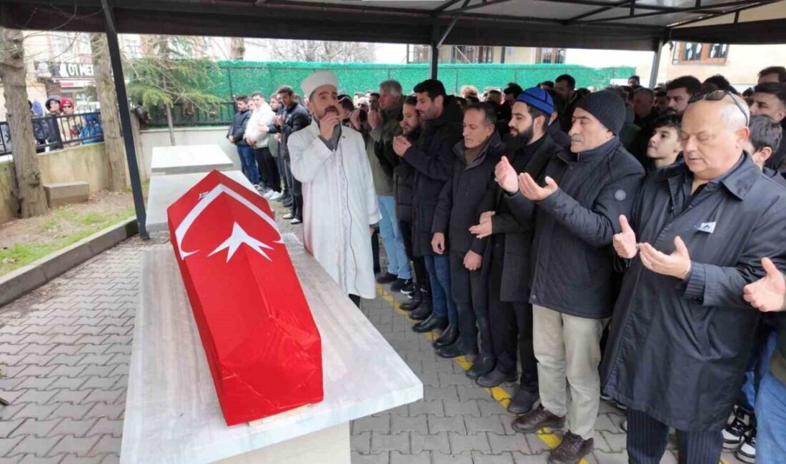 İstanbul’da geçtiğimiz yıl Ağustos ayında şiddetli rüzgar nedeniyle devrilen ağacın