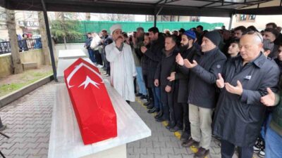 İstanbul’da geçtiğimiz yıl Ağustos ayında şiddetli rüzgar nedeniyle devrilen ağacın