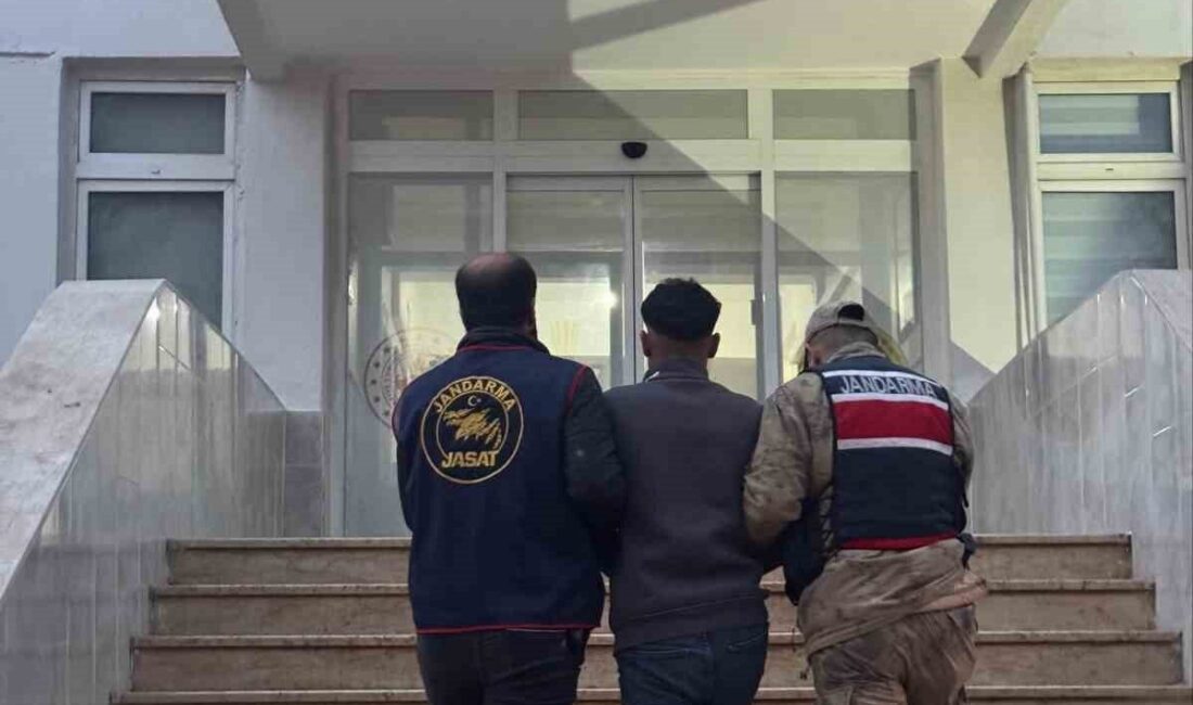 Şanlıurfa’nın Akçakale ilçesinde, jandarma tarafından düzenlenen 70 milyon TL’lik dolandırıcılık