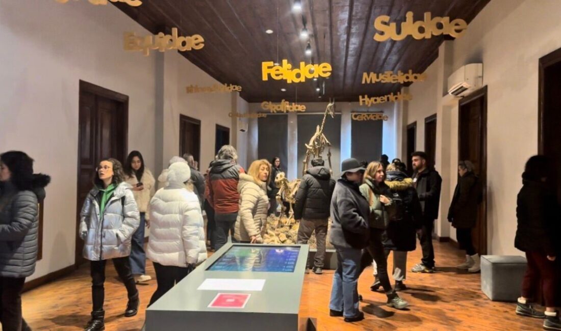 Çankırı’da 8 buçuk milyon yıllık fosillerin sergilendiği ve ziyaretçilerini tarihi