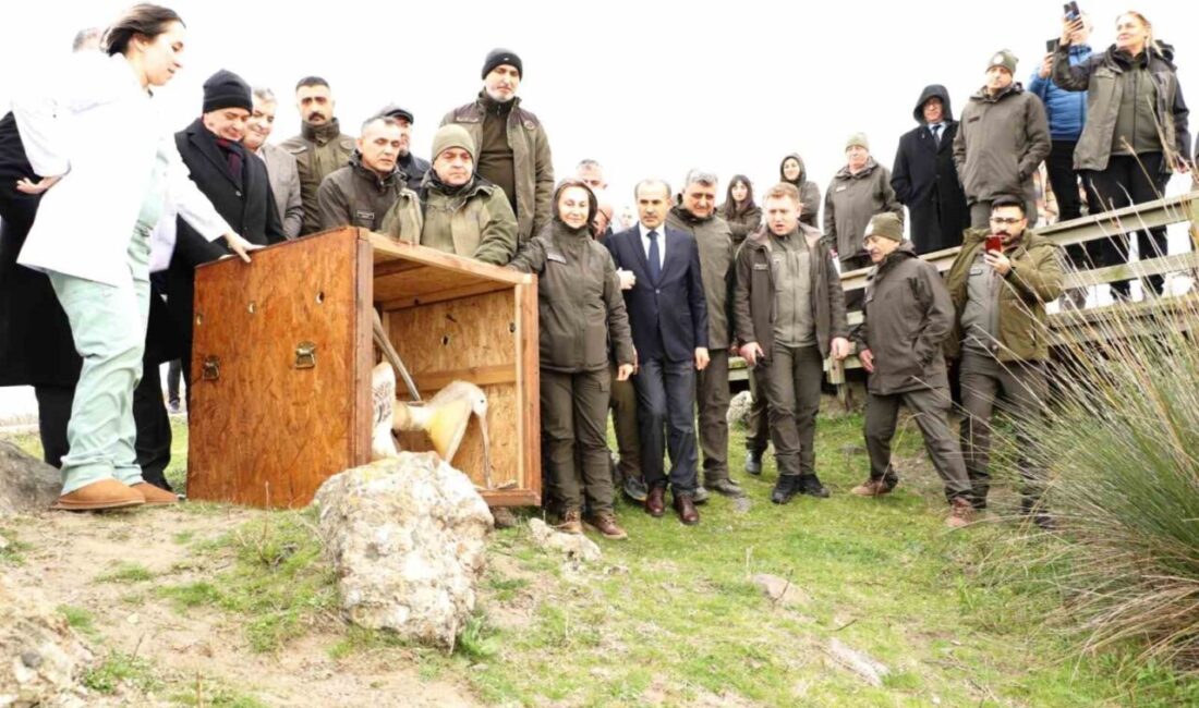 Türkiye’nin en önemli sulak alanları arasında yer alan ve Ramsar
