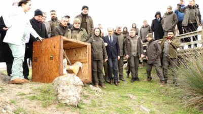 Türkiye’nin en önemli sulak alanları arasında yer alan ve Ramsar