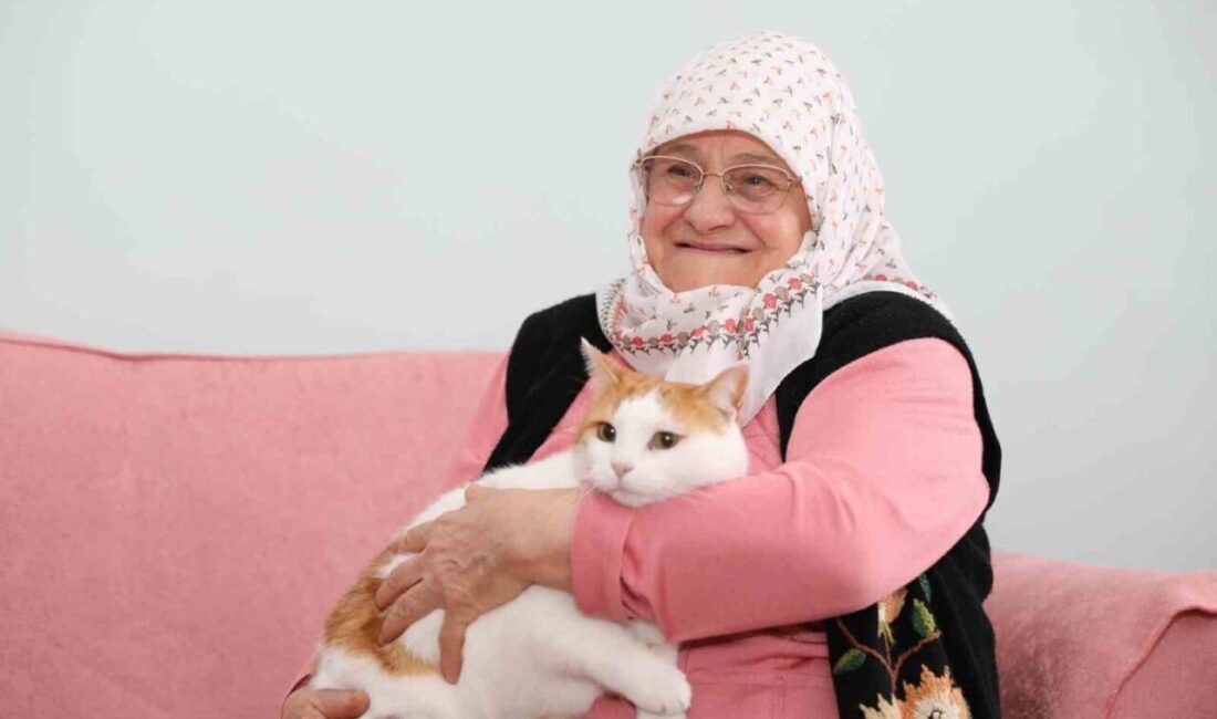 Samsun’da yaşayan ve kedisi Fıstık’tan başka kimsesi olmayan 81 yaşındaki