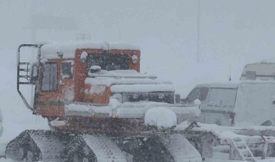 ABD’nin California eyaletindeki Castle Peak Dağı’nda meydana gelen çığ felaketinde