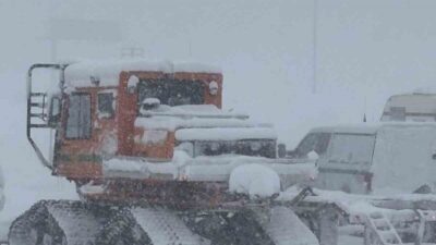 ABD’nin California eyaletindeki Castle Peak Dağı’nda meydana gelen çığ felaketinde