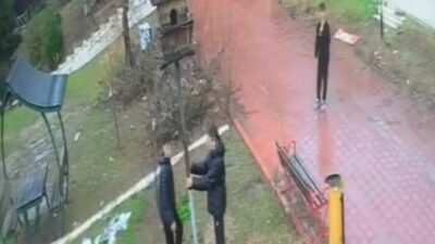 Adana’da parktaki kuş yuvasına zarar veren çocuklar kameralara yansıdı. Edinilen