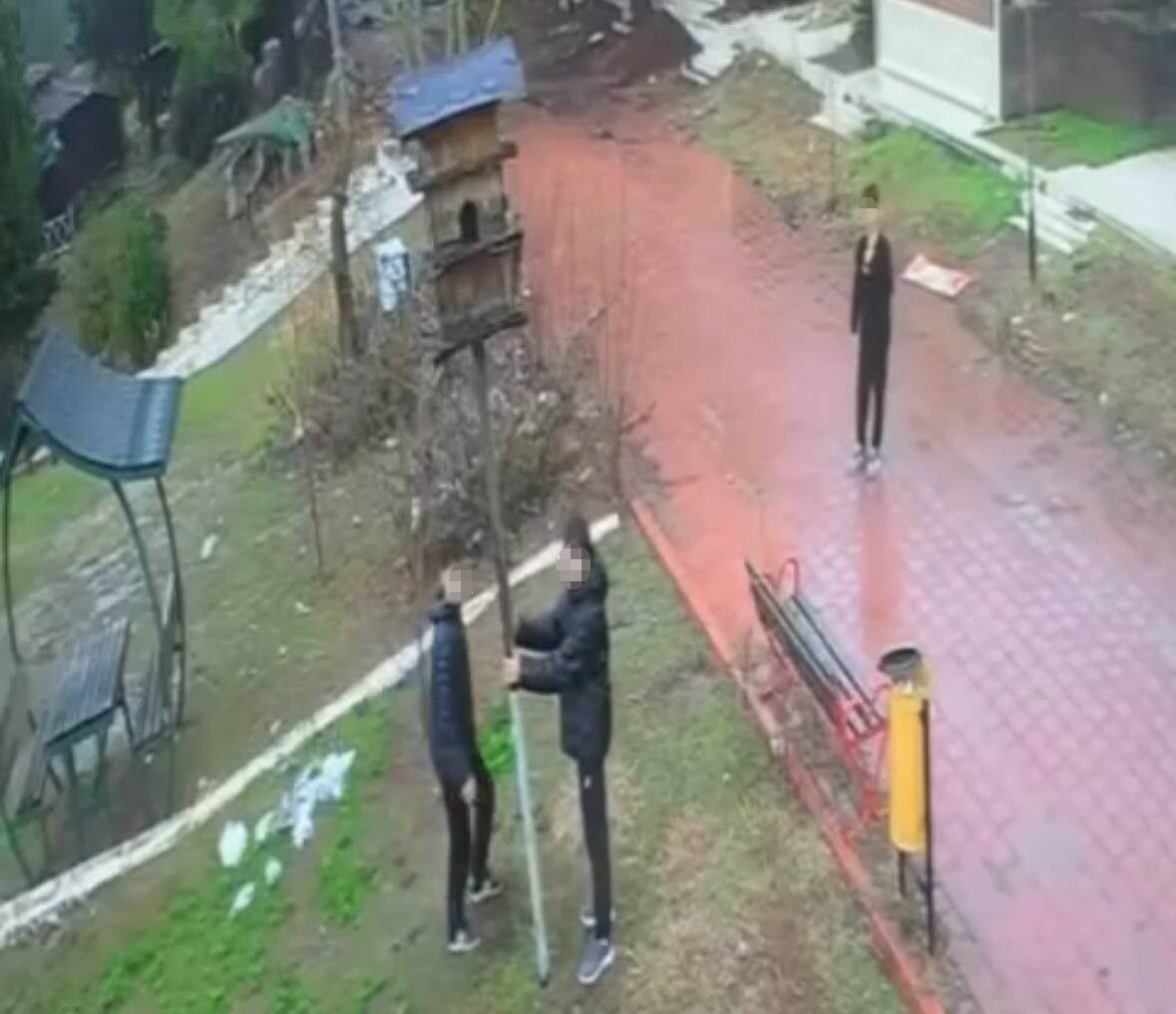 Adana’da parktaki kuş yuvasına zarar veren çocuklar kameralara yansıdı. Edinilen