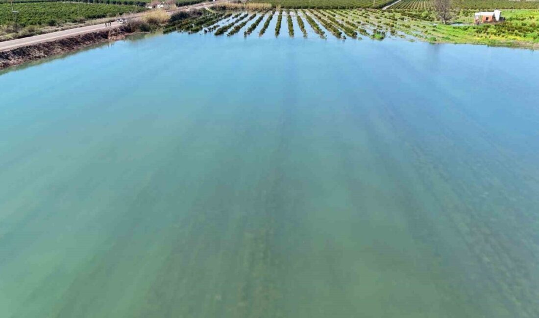 Türkiye’nin en verimli ovalarından Çukurova’da, iklim değişikliğinin etkilerini göstermesiyle birlikte