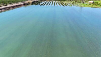 Türkiye’nin en verimli ovalarından Çukurova’da, iklim değişikliğinin etkilerini göstermesiyle birlikte