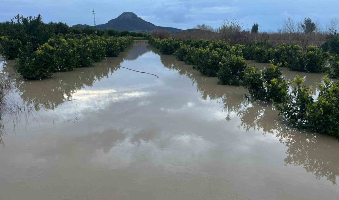 Adana’da şiddetli yağış sonucu tarlalar su altında kaldı. Bazı çiftçiler,
