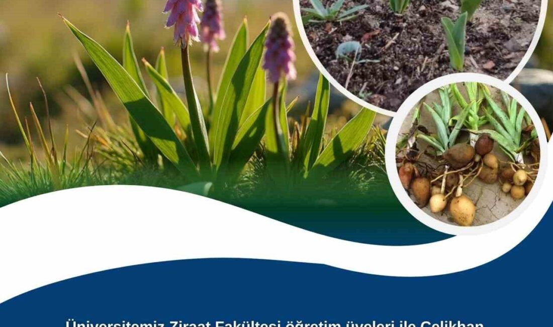 Çelikhan Kaymakamlığı ile Adıyaman Üniversitesi Ziraat Fakültesi öğretim üyelerinin iş