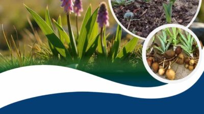 Çelikhan Kaymakamlığı ile Adıyaman Üniversitesi Ziraat Fakültesi öğretim üyelerinin iş