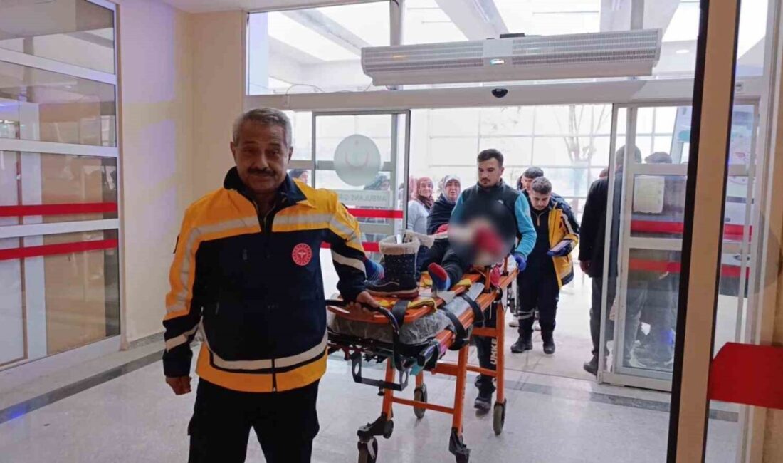 Adıyaman’da otomobilin şarampole devrilmesi sonucu 5 kişi yaralandı. Edinilen bilgilere
