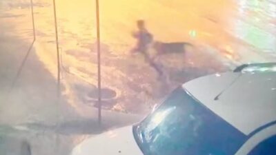 Adıyaman’ın Kahta ilçesinde sahipsiz köpeklerin saldırısına uğrayan 10 yaşındaki çocuk,