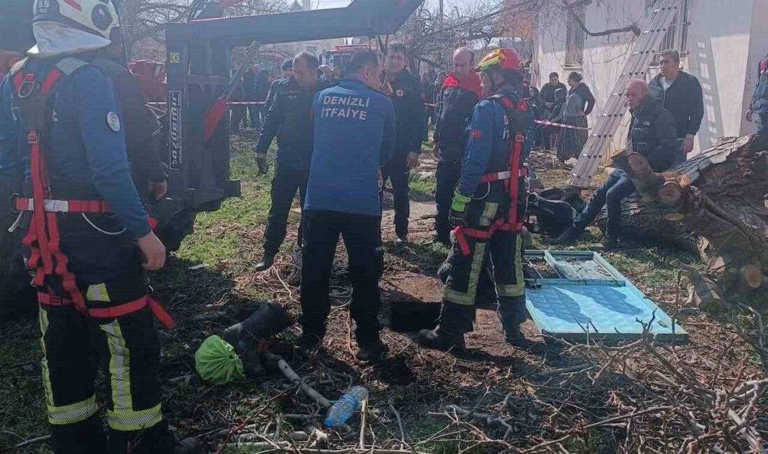 Denizli’de komşusunun bahçesinden kurumuş ağaç dallarını toplamak isteyen kadın fark
