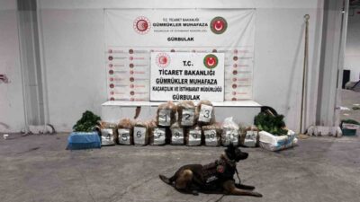 Ağrı’nın Doğubayazıt ilçesinde bulunan Gürbulak Sınır Kapısı’nda, İran’dan Türkiye’ye giriş