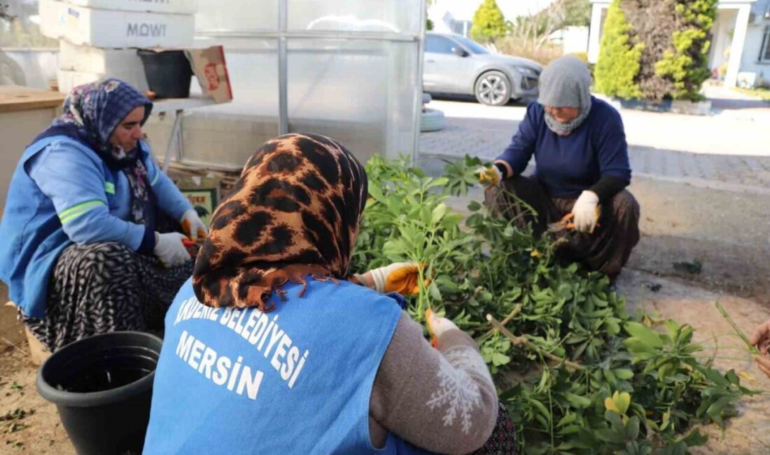 Mersin’in merkez ilçe Akdeniz Belediyesi, ilçedeki park ve yeşil alanların