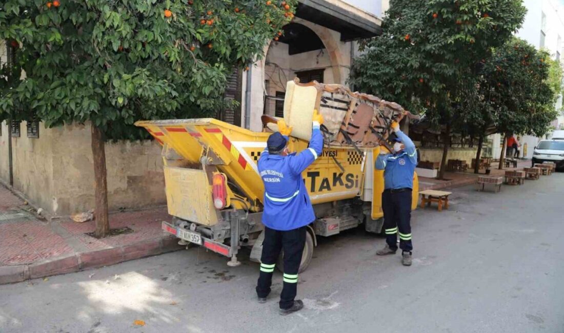 Mersin’in merkez Akdeniz ilçesinde son dönemde artış gösteren büyük hacimli