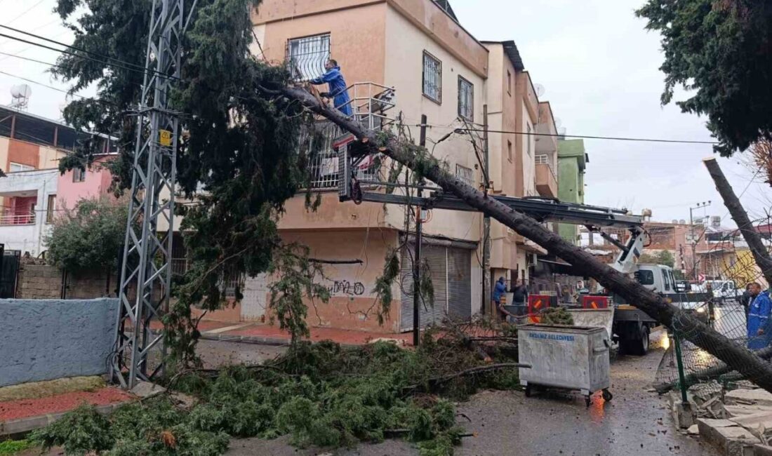 Mersin’in merkez ilçe Akdeniz Belediyesi, il genelinde etkili olan aşırı