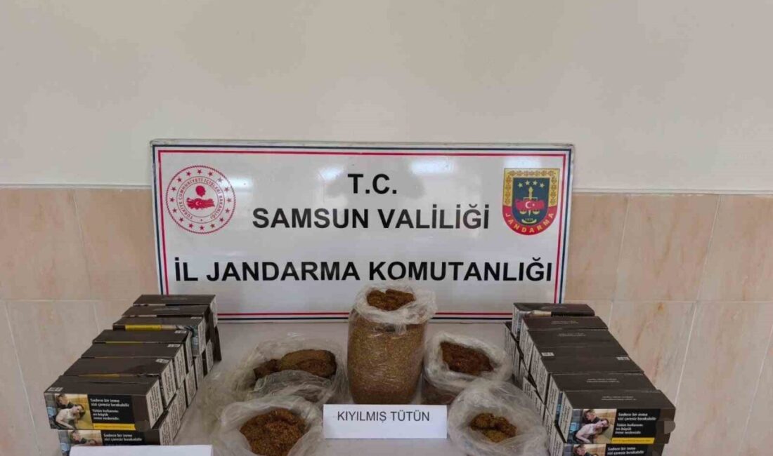 Samsun’un Alaçam ilçesinde jandarma ekiplerince düzenlenen operasyonda bandrolsüz tütün ürünleri