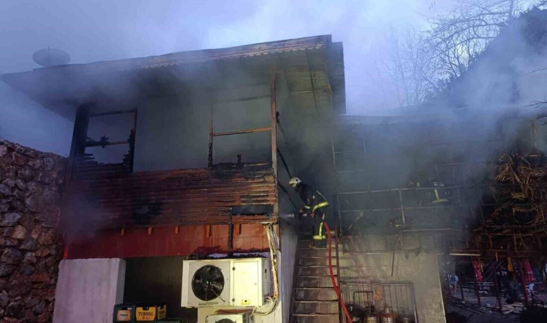 Antalya’nın Alanya ilçesinde bir piknik işletmesinde çıkan yangın paniğe neden