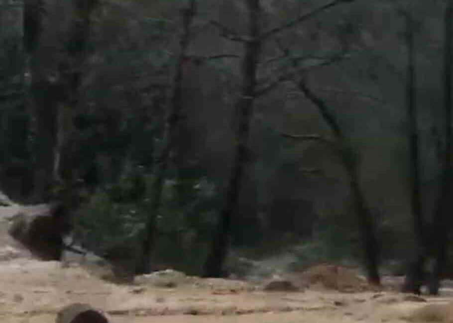 Antalya’nın Alanya ilçesinde etkili olan sağanak yağış, özellikle kırsal mahallelerde