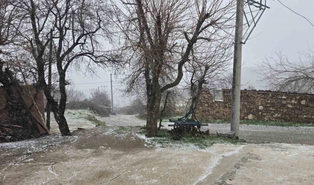 Manisa’nın Alaşehir ilçesinde bir günde adeta dört mevsim bir arada