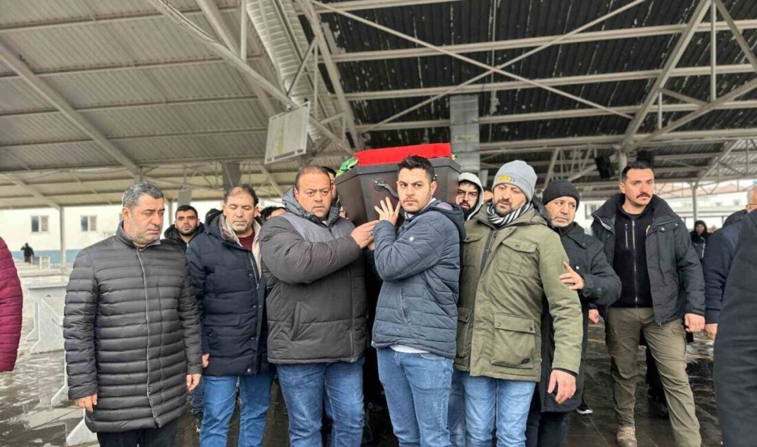 Almanya’nın Rheinland-Pfalz eyaletinde bilet kontrolü sırasında uğradığı saldırı sonucu hayatını