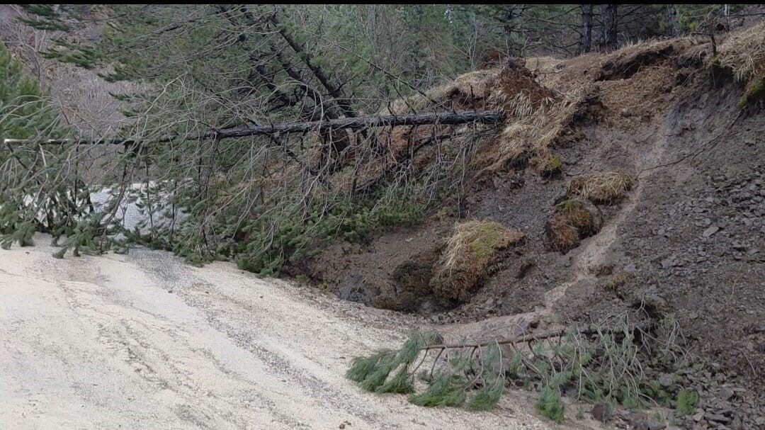 Amasya’nın en yüksek dağı Akdağ’da ormanlık alanda heyelan meydana geldi.