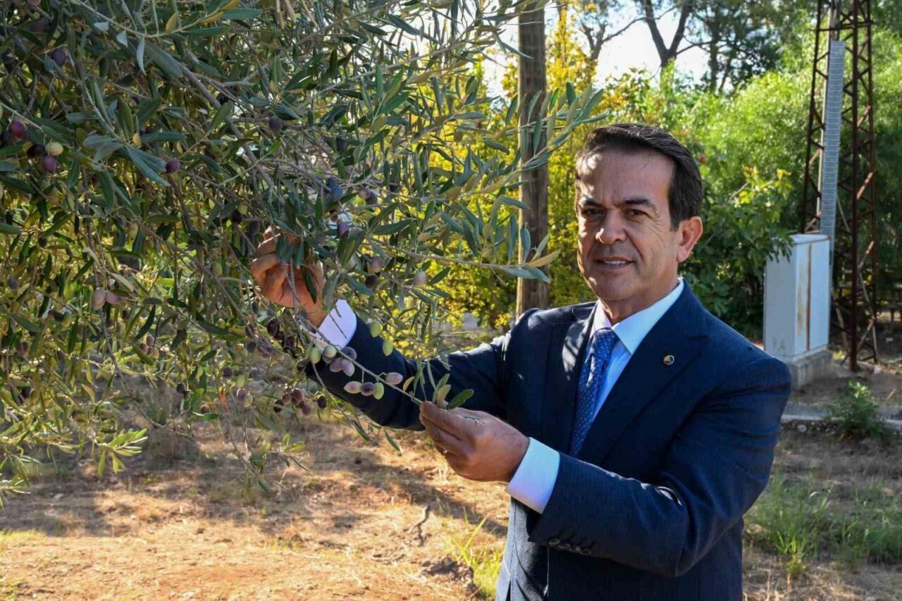 Antalya zeytinyağının markalaşma sürecine yön verecek çalıştayın sonuç raporu açıklandı.