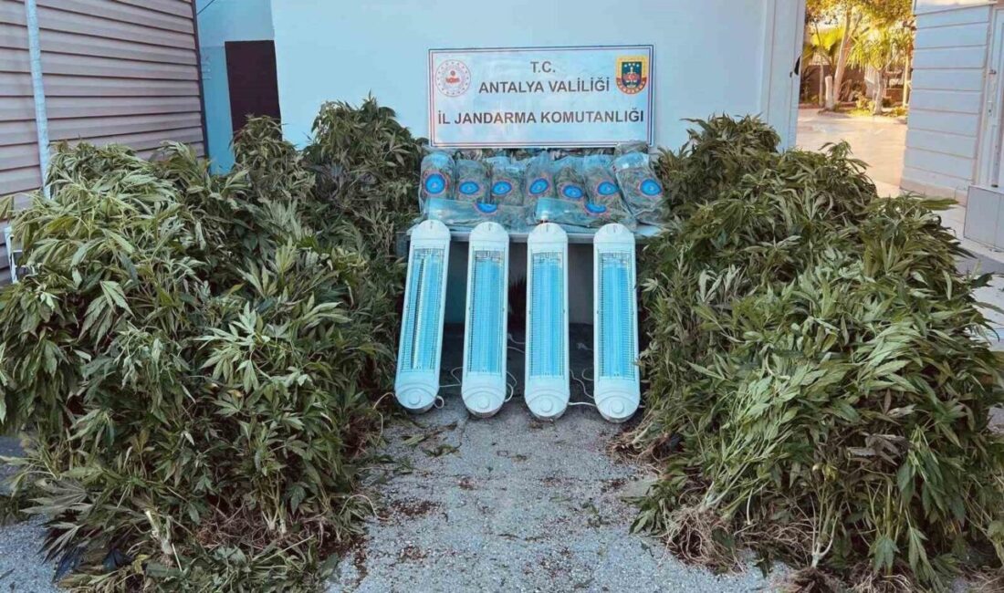 Antalya’nın Aksu ilçesinde düzenlenen uyuşturucu operasyonunda 23 kilo 950 gram