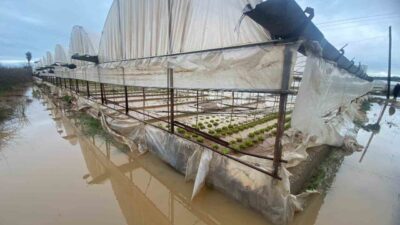 Antalya’da etkili olan sağanak yağışlar Aksu ilçesi Güzelyurt Mahallesi İncikpınar