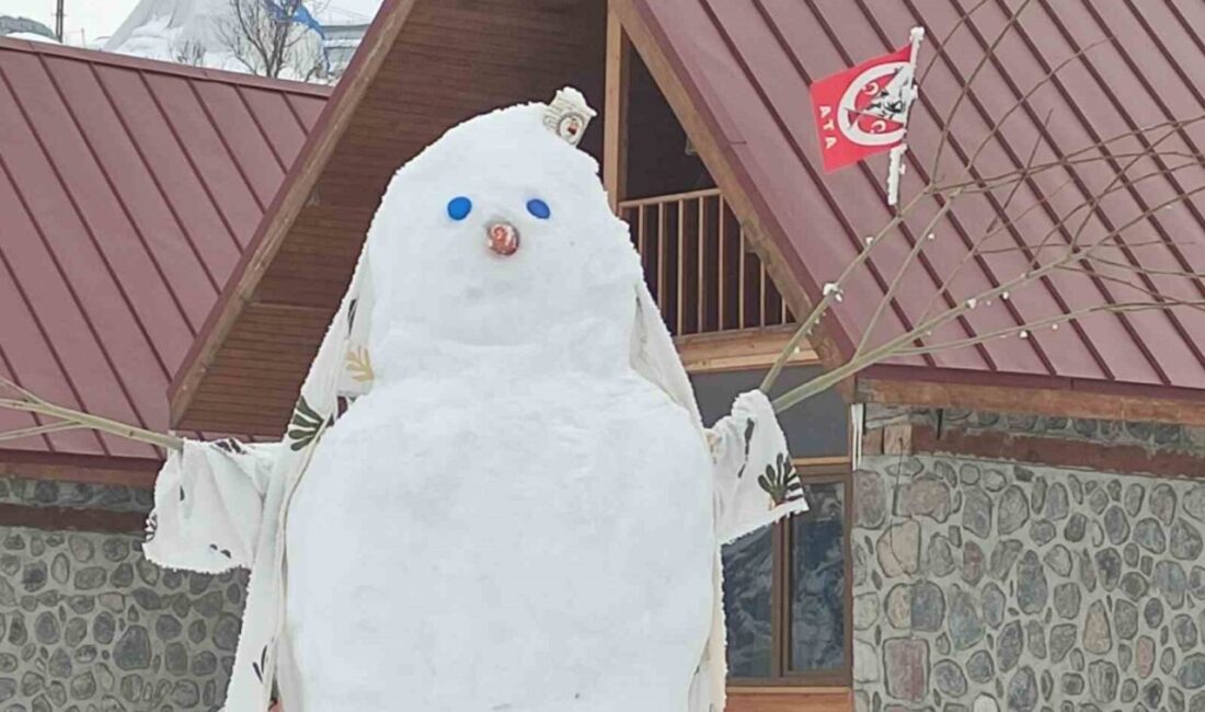 Ardahan’da etkili olan kar yağışı ve tipi nedeniyle kent genelinde