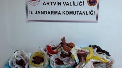 Artvin’de jandarma ekiplerince yapılan kontrolde 60 kilo yaban domuzu eti