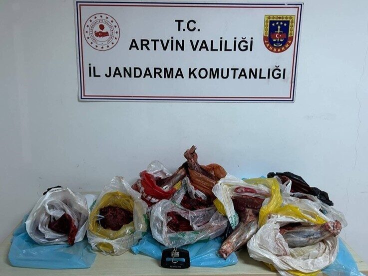 Artvin’de jandarma ekiplerince yapılan kontrolde 60 kilo yaban domuzu eti