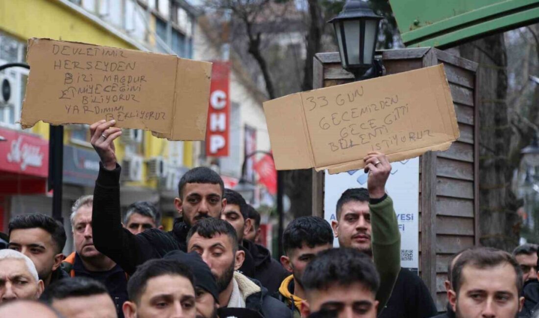 Artvin’in Ardanuç ilçesine bağlı Zekeriya köyü Aksu Dağı bölgesinde 31