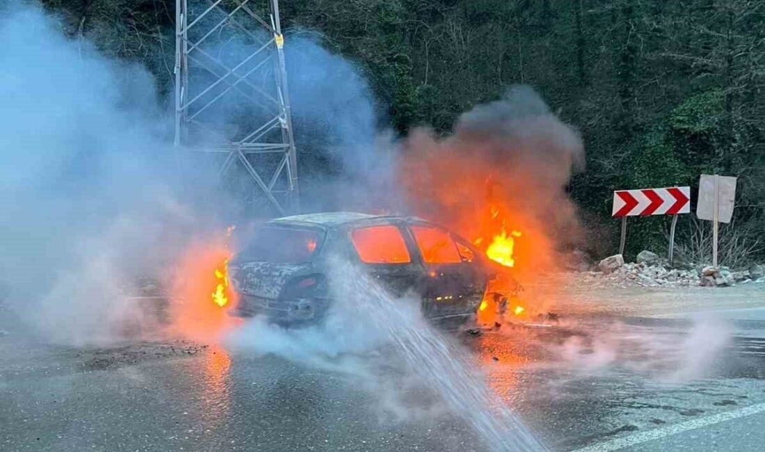 Artvin’de Borçka-Hopa karayolunda Cankurtaran Tüneli mevkisinde seyir halindeyken alevlere teslim